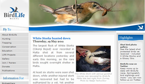 stoerche abschuss malta