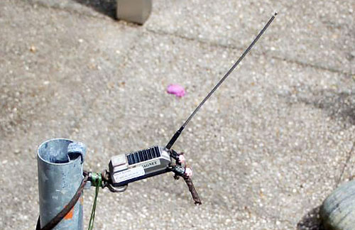 sender dueschess web